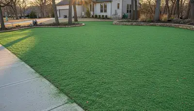 Fresh hydroseed lawn coating on prepared soil by Chop Chop Landscaping in Omaha, NE
